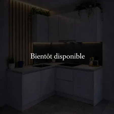 Apartment Le Bleu De Leopold - Cosy - Hypercentre Nancy